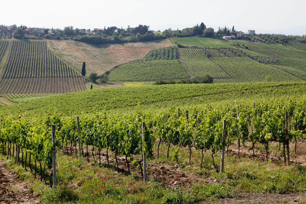 Villa Agriturismo Borgo Vigna Vecchia Cerreto Guidi Exterior foto